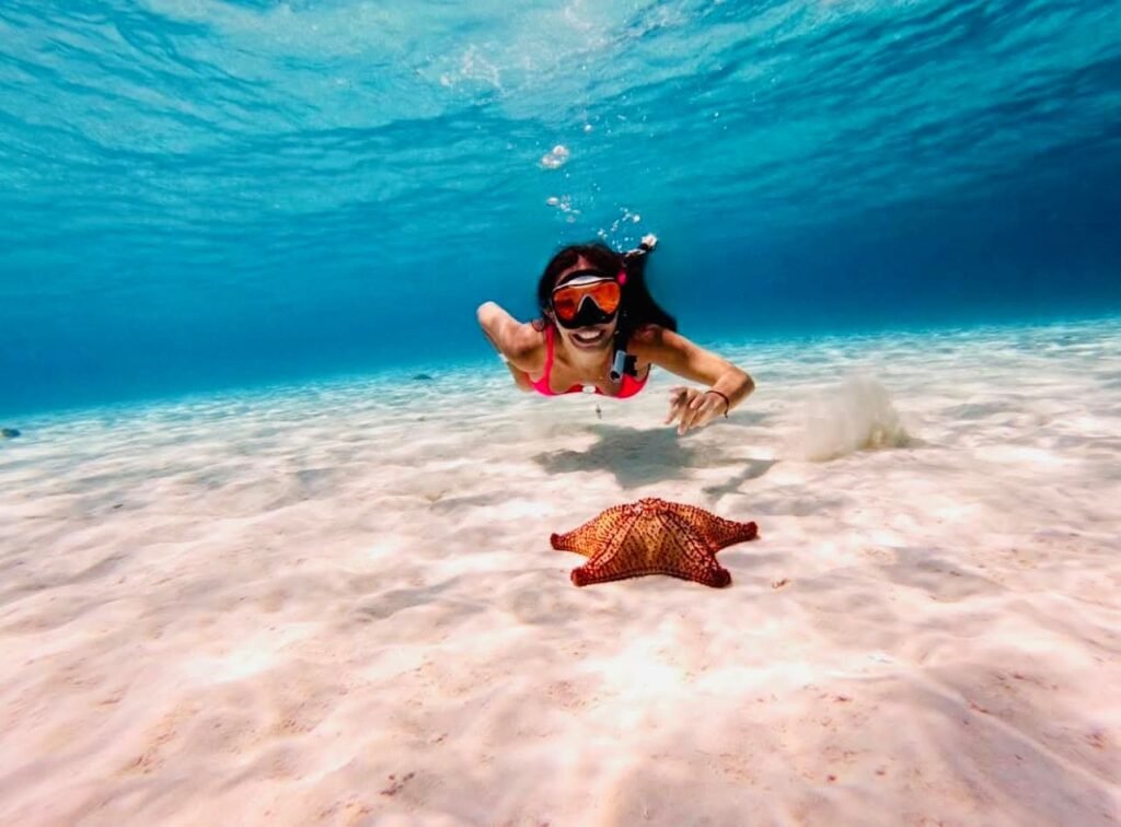 31b81785 5ce6 449d a905 f9bd587f6968