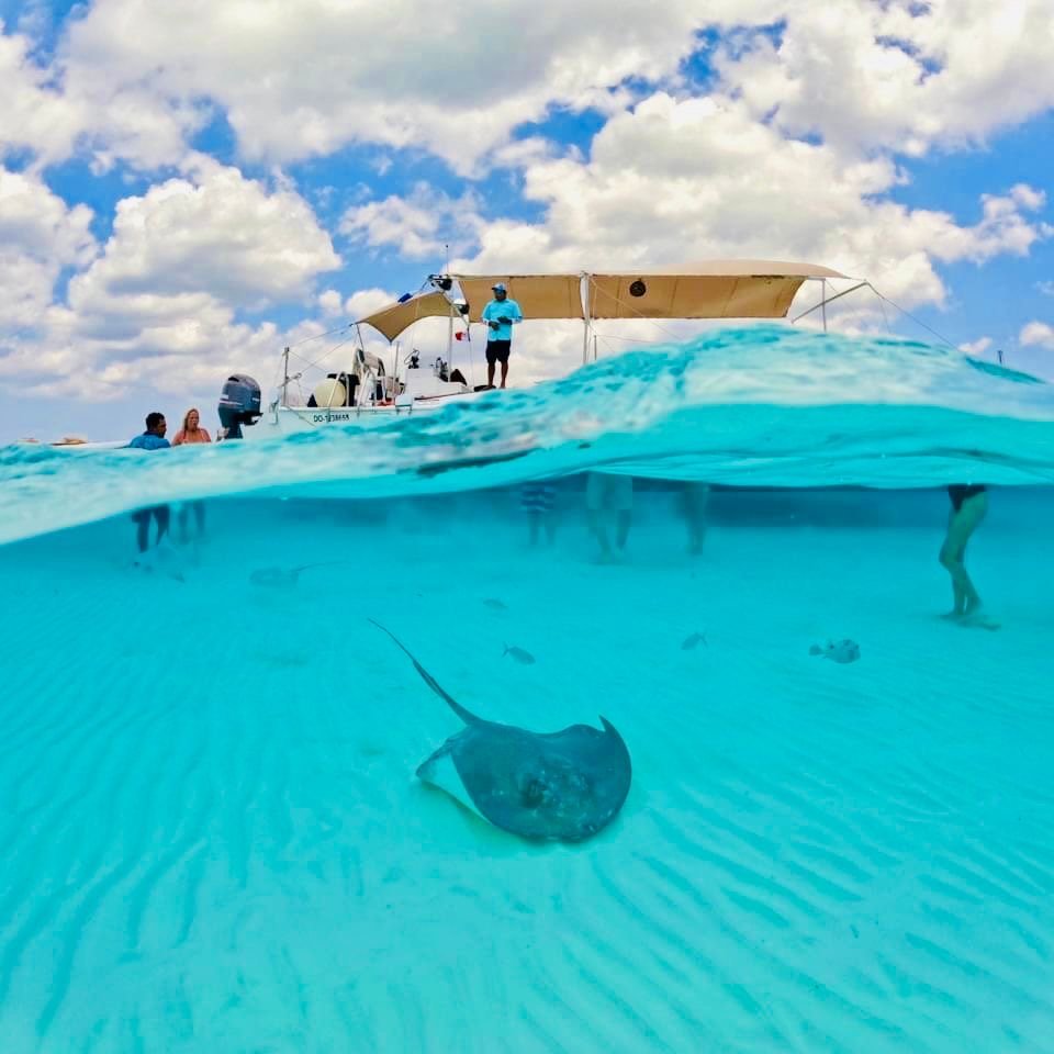 4e5dac58 8303 43ac aa88 799ce829347c