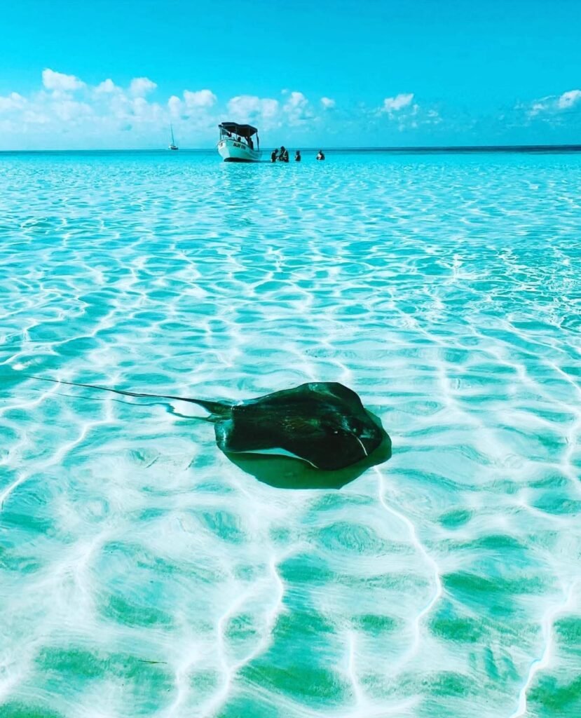 df785ccb 2f2b 424f b2fe 103abc5a5d19