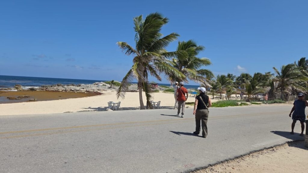 f02a8f37 1703 46de 80d4 8d09dec0558d