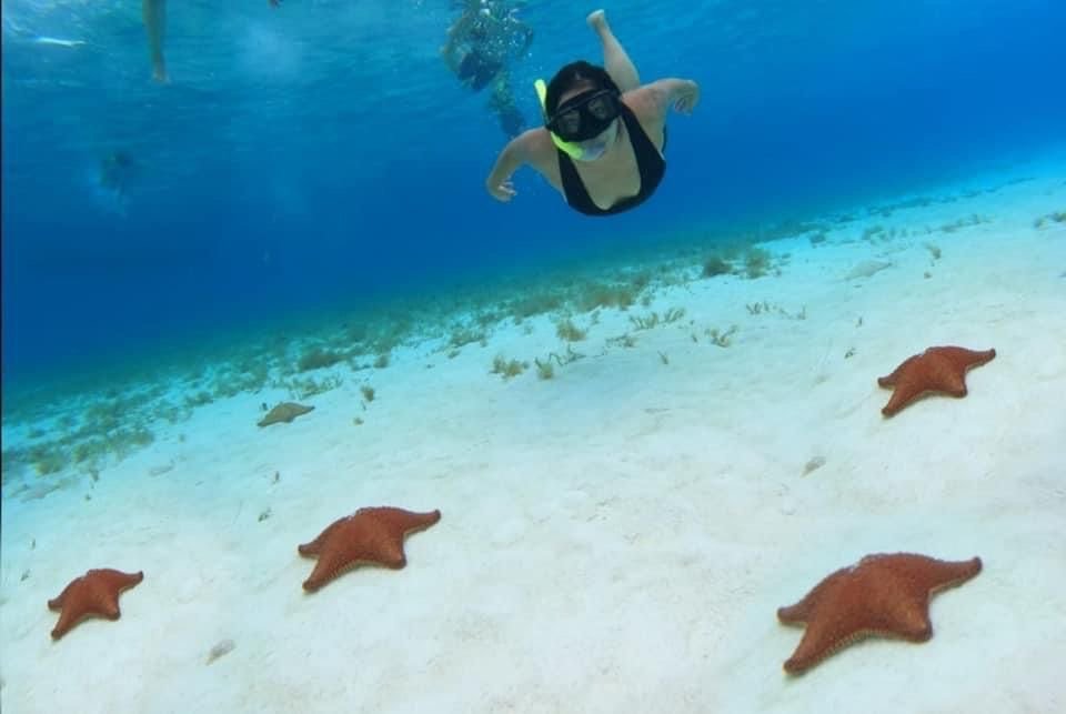 f837157a b01d 4b29 98c2 51f8b18dc5d5